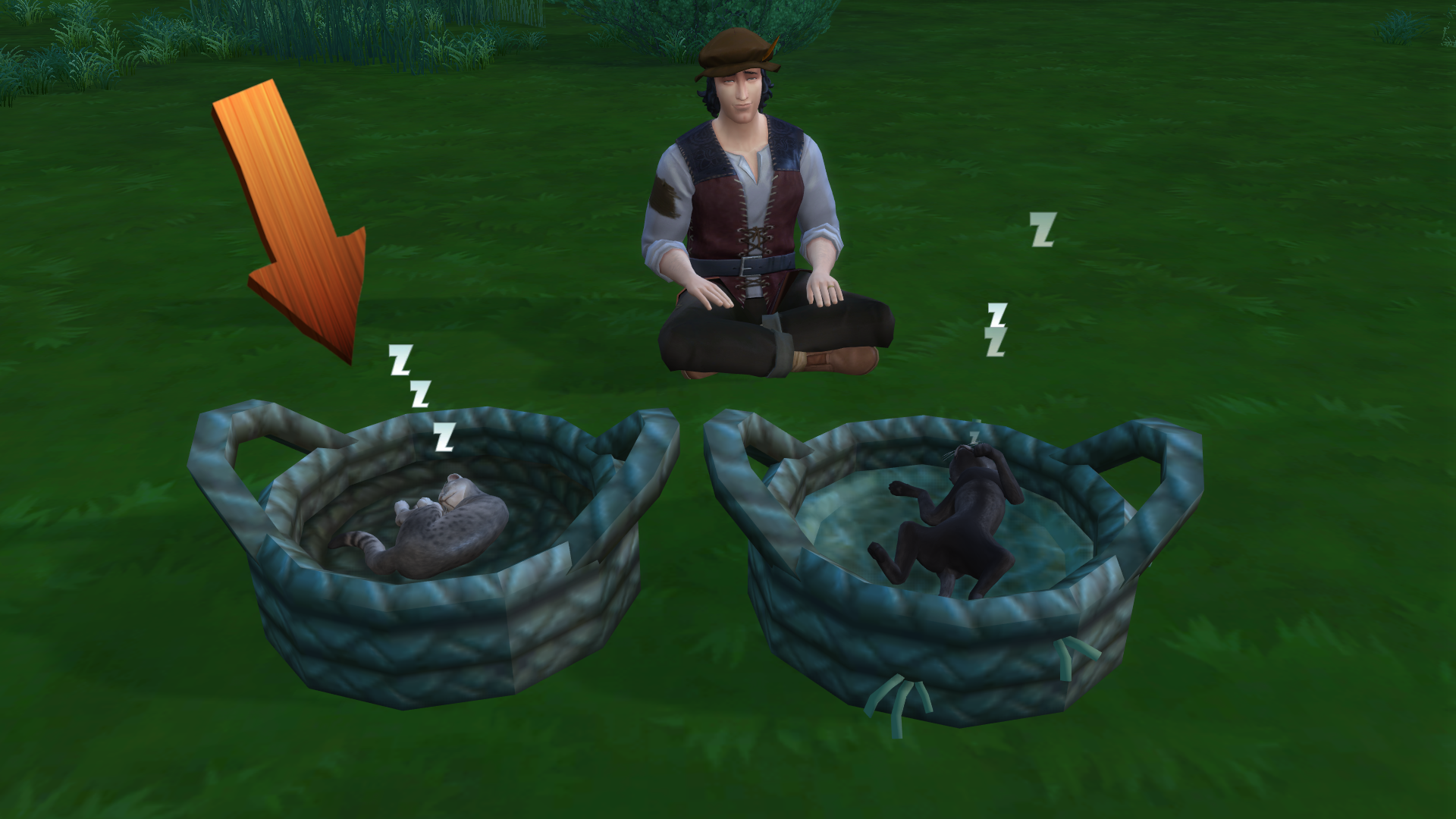 Medieval - Historical - Basket Pet Bed - Model 01 - The Sims 4 Build ...