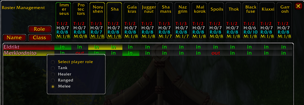 <p>Should the role of a raider not be recognized, the raid leader or an assistant can set it manually</p>
