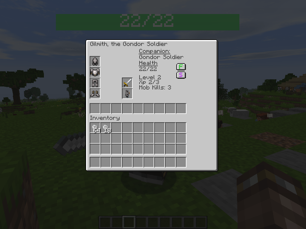 Interface of a hired Gondor soldier who has reached level 2