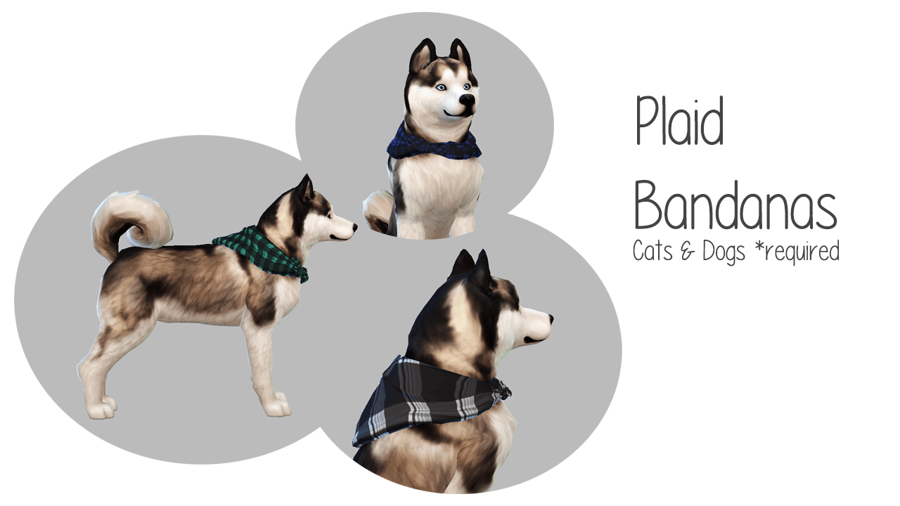 plaidbandanas_catsanddogs_title.png