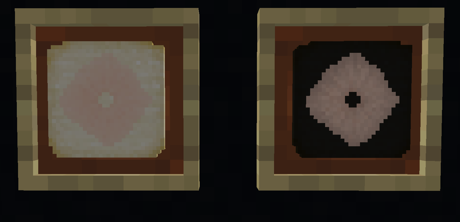 Spore prints on display