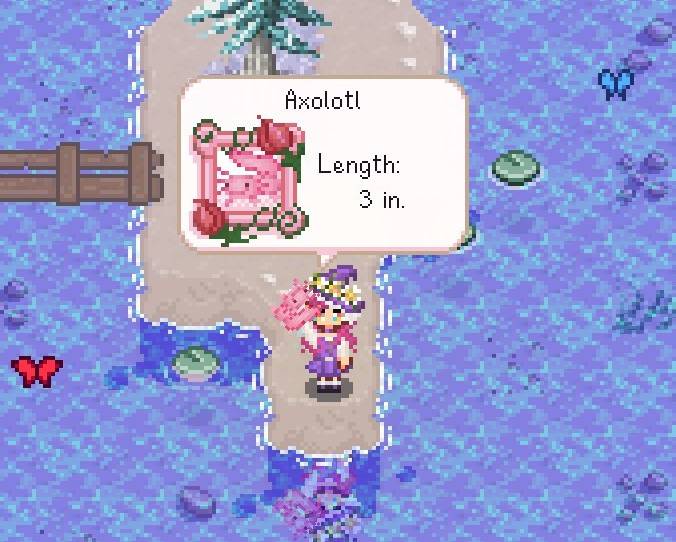 Axolotls in Stardew