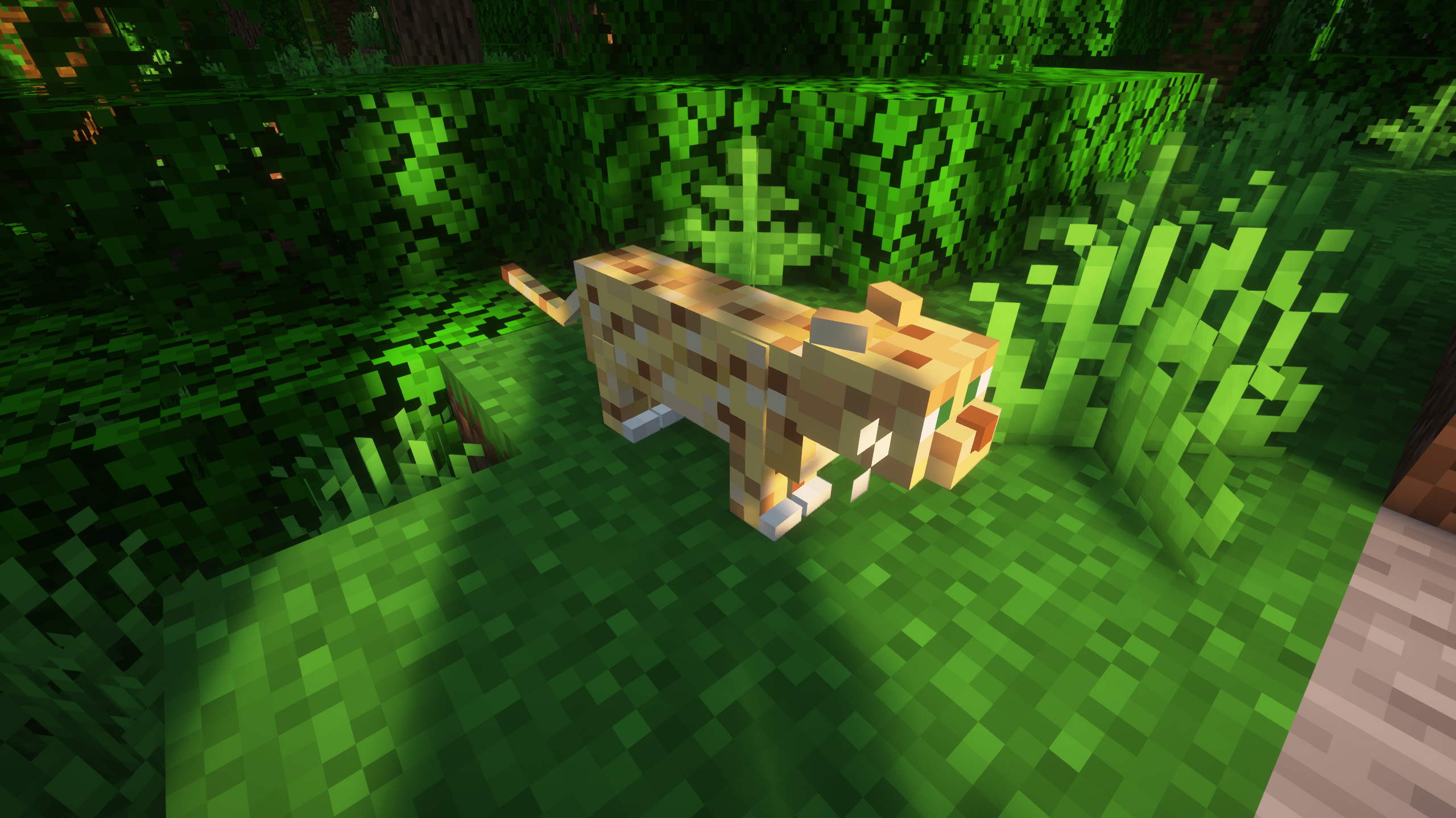 Realistic Ocelots