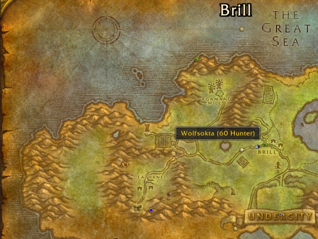 <p>World Map</p>