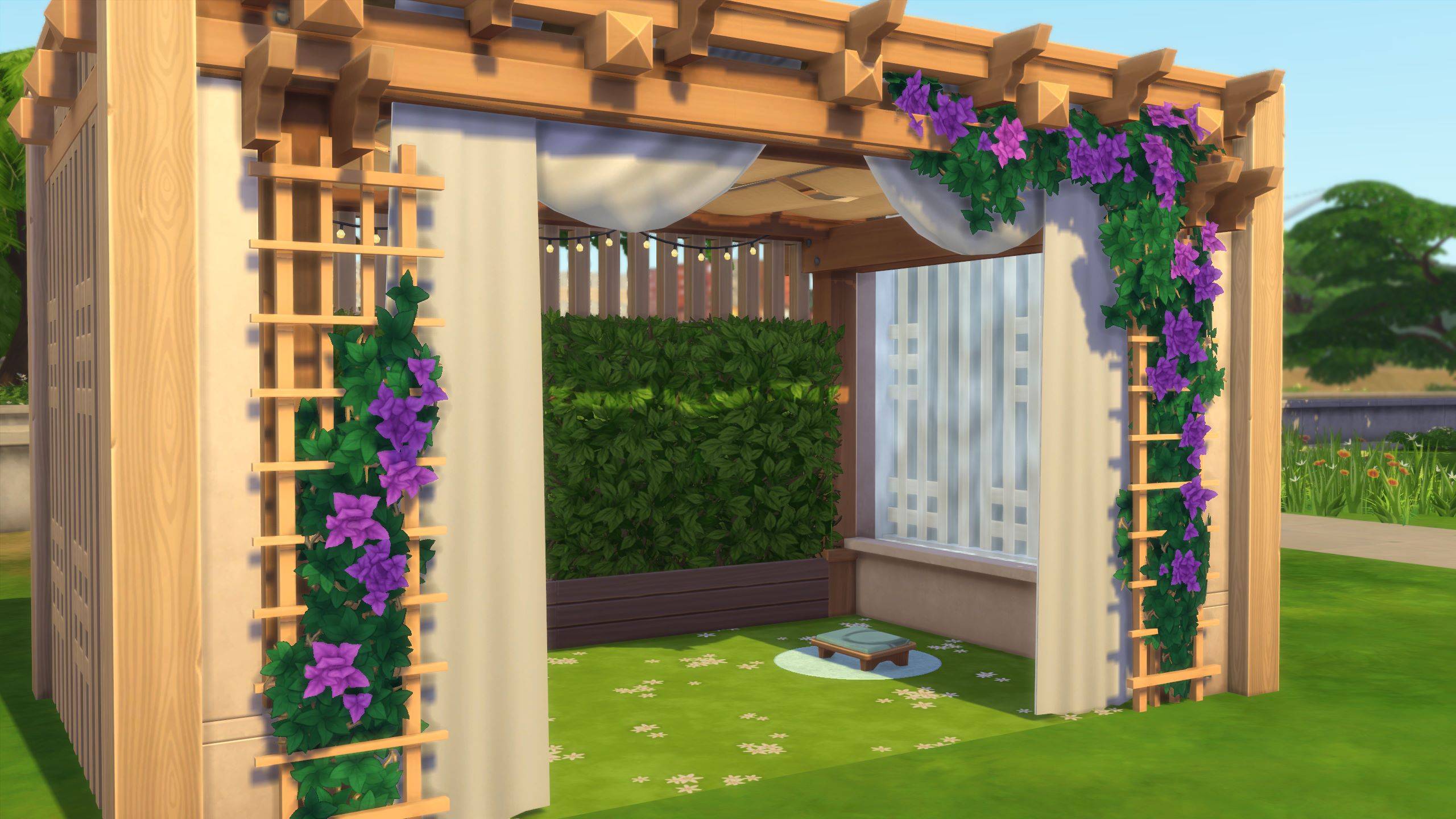 Wellness Shelter.jpg