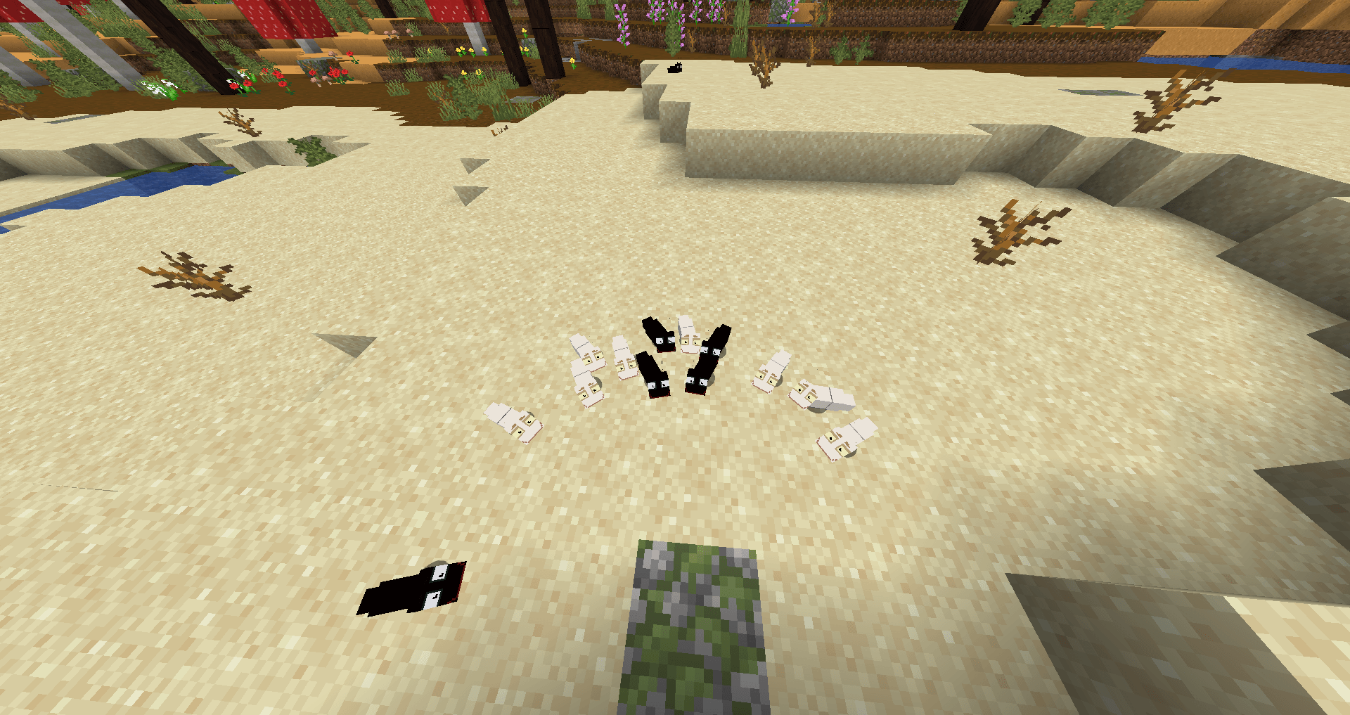 screenshot thumbnail