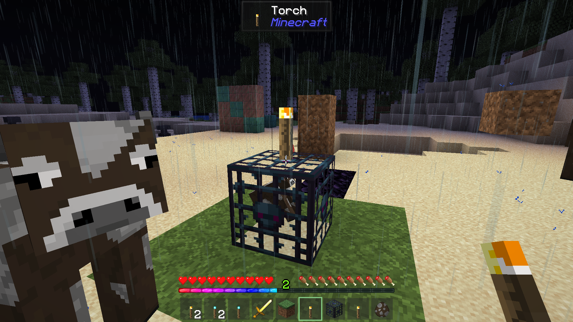 Install Invisible Torches Minecraft Mods & Modpacks