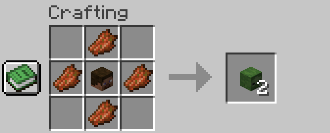Minecraft NeoForge_ 1.20.6 - Singleplayer 25-7-2024 21_37_40.png