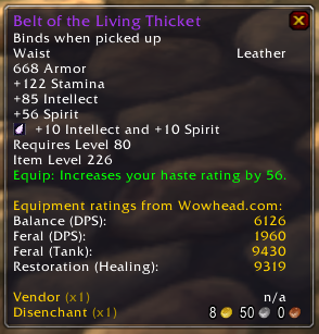 <p>Druid tooltip with stat additions</p>