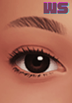 Screenshot thumbnail