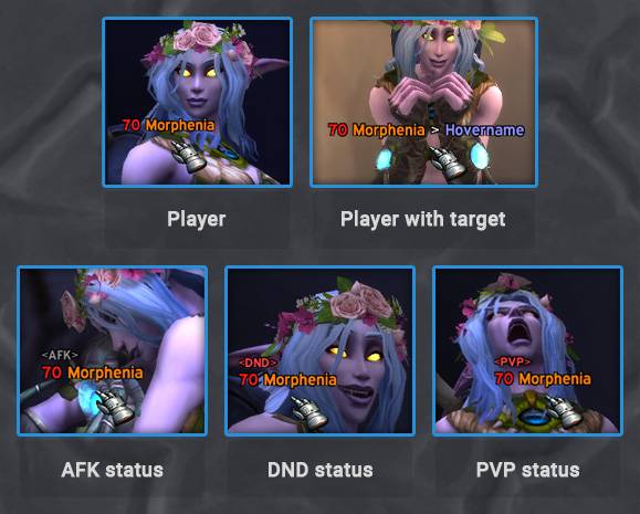 Showing off all the options that can be shown for players.
- Target
- AFK, DND, PVP status