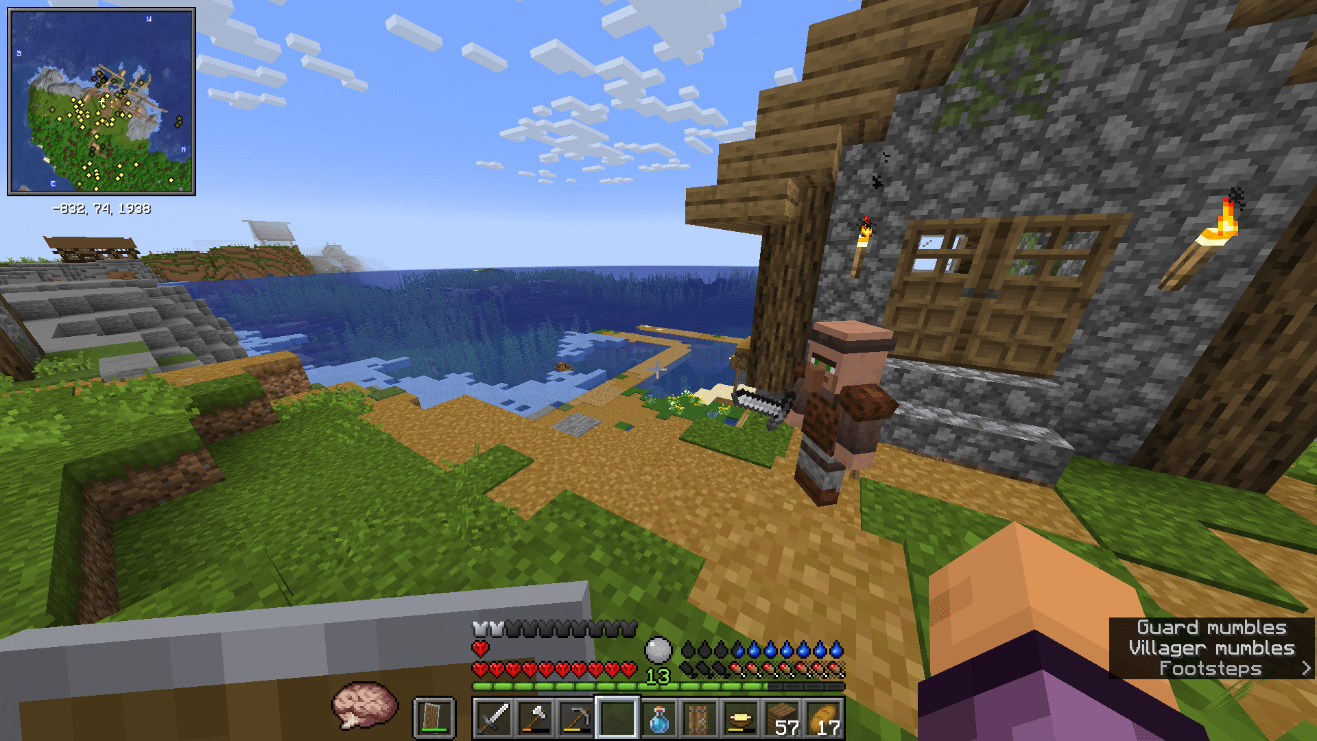 Thumbnail Guard villager