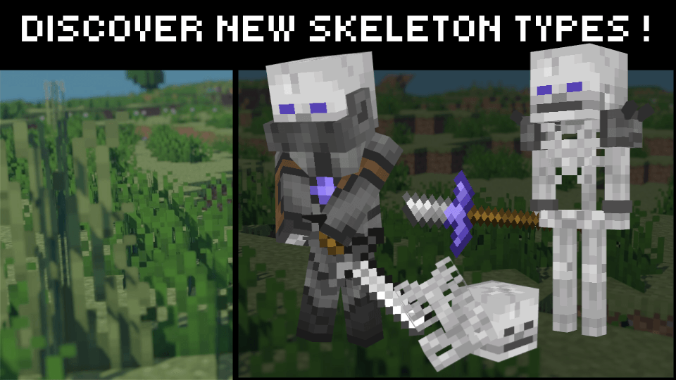 Images Of Minecraft Skeleton Minecraft Diamond Level Skeleton