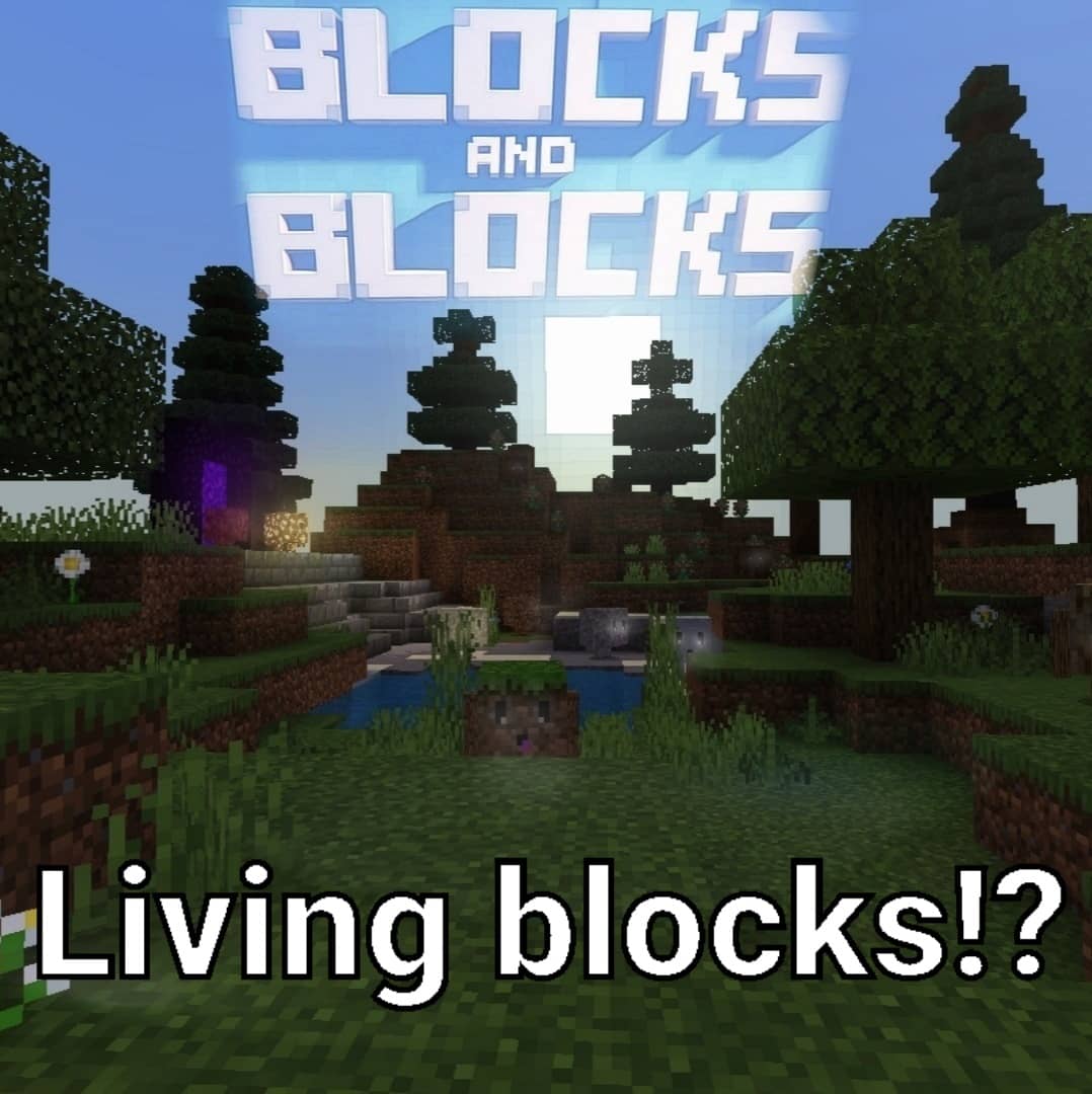 Blocks and Blocks