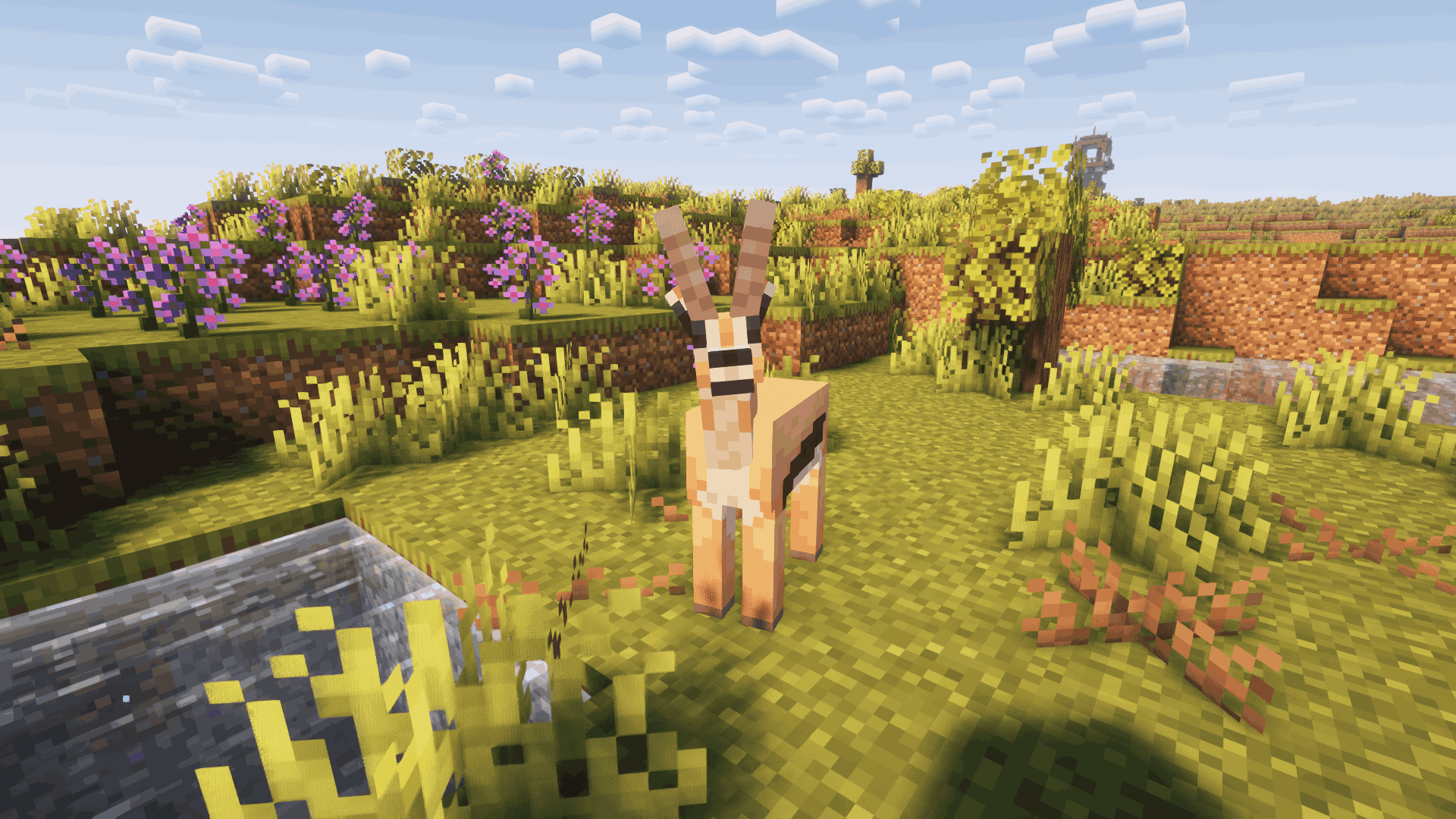 Thumbnail A Gazelle on plains
