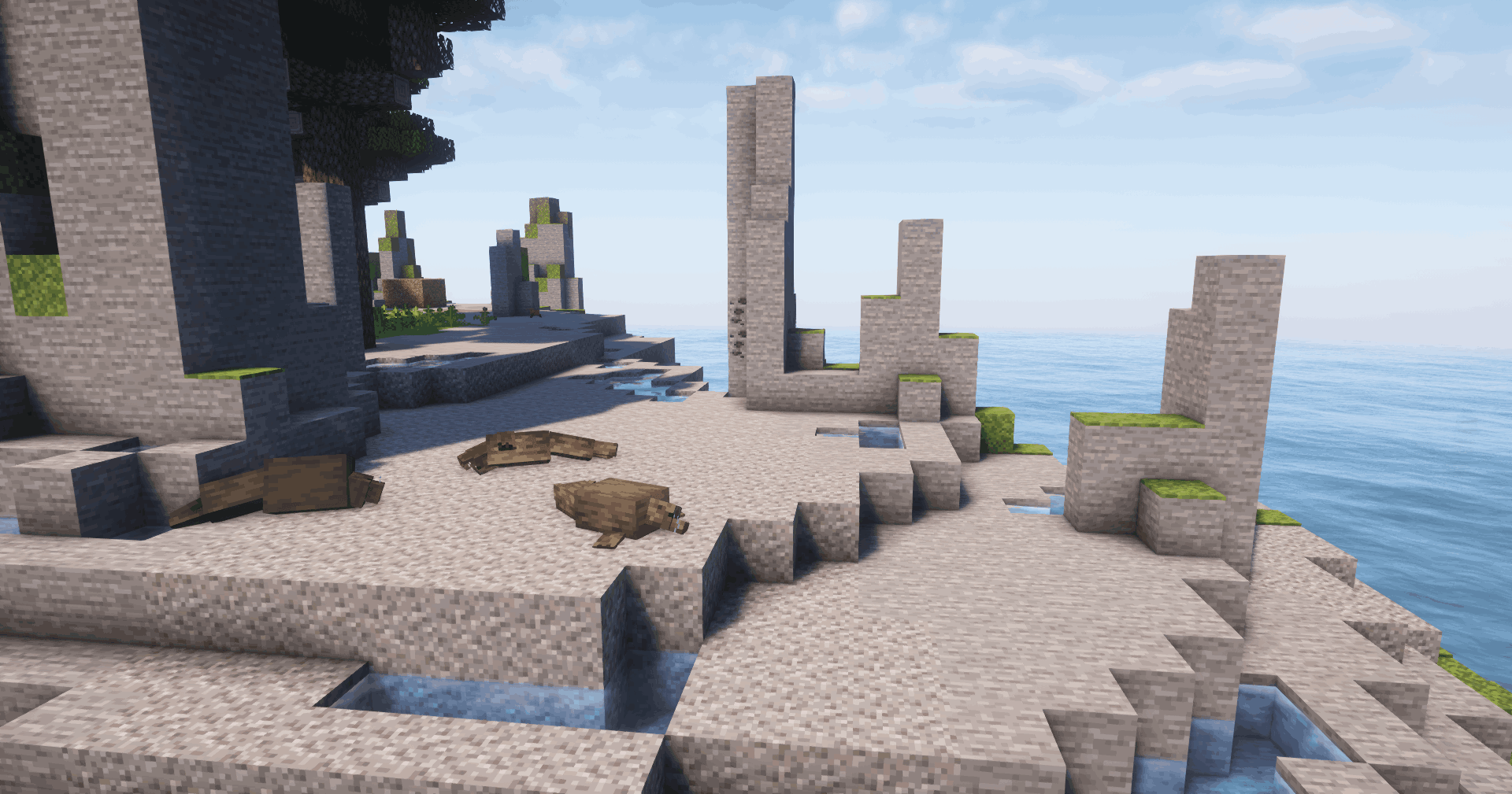Thumbnail A rocky shore with 3 chilling seals