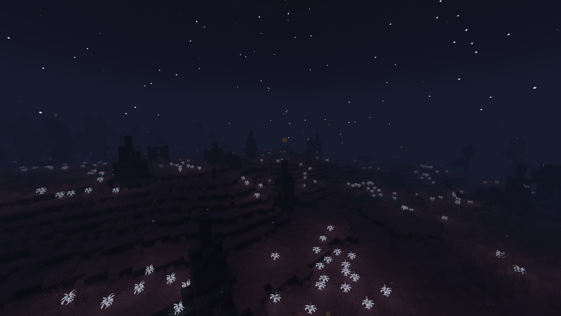 Night Plains