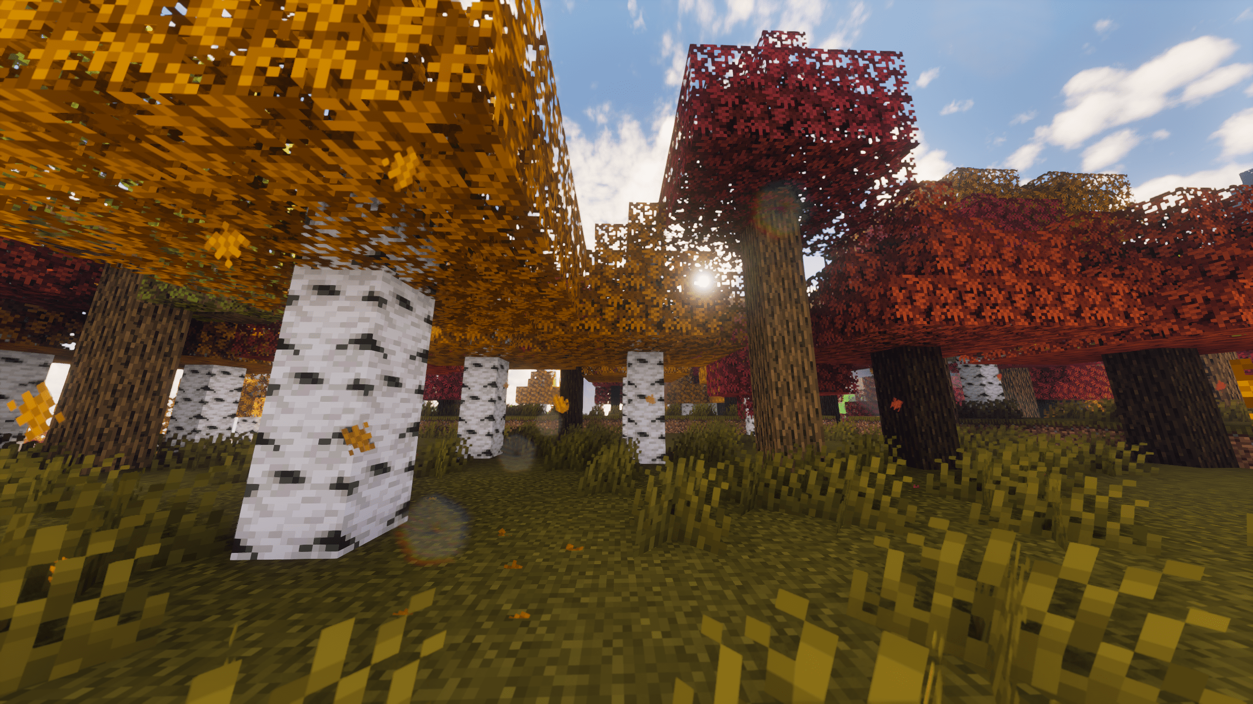 Thumbnail 2024-08-25_02.04.13-min.png