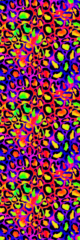 Thumbnail a rainbow leopard short 3.png