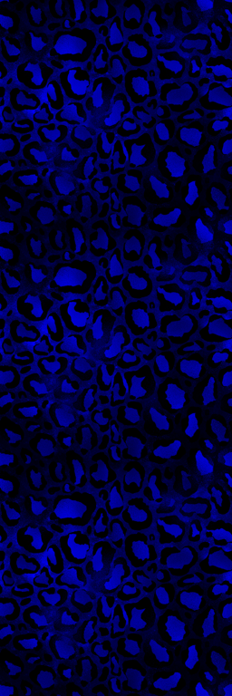 Thumbnail a rainbow leopard short 4.png