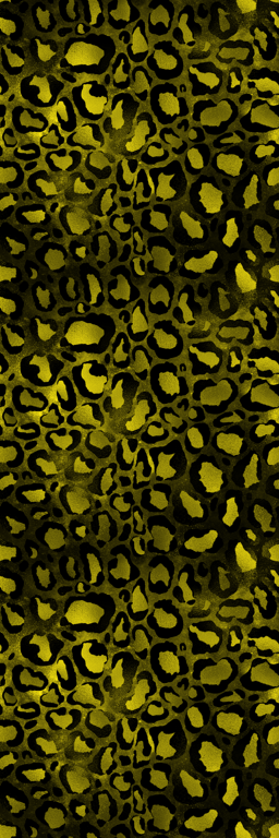 Thumbnail a rainbow leopard short 10.png