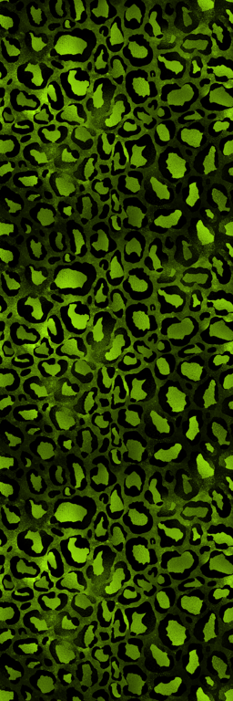 Thumbnail a rainbow leopard short 11.png