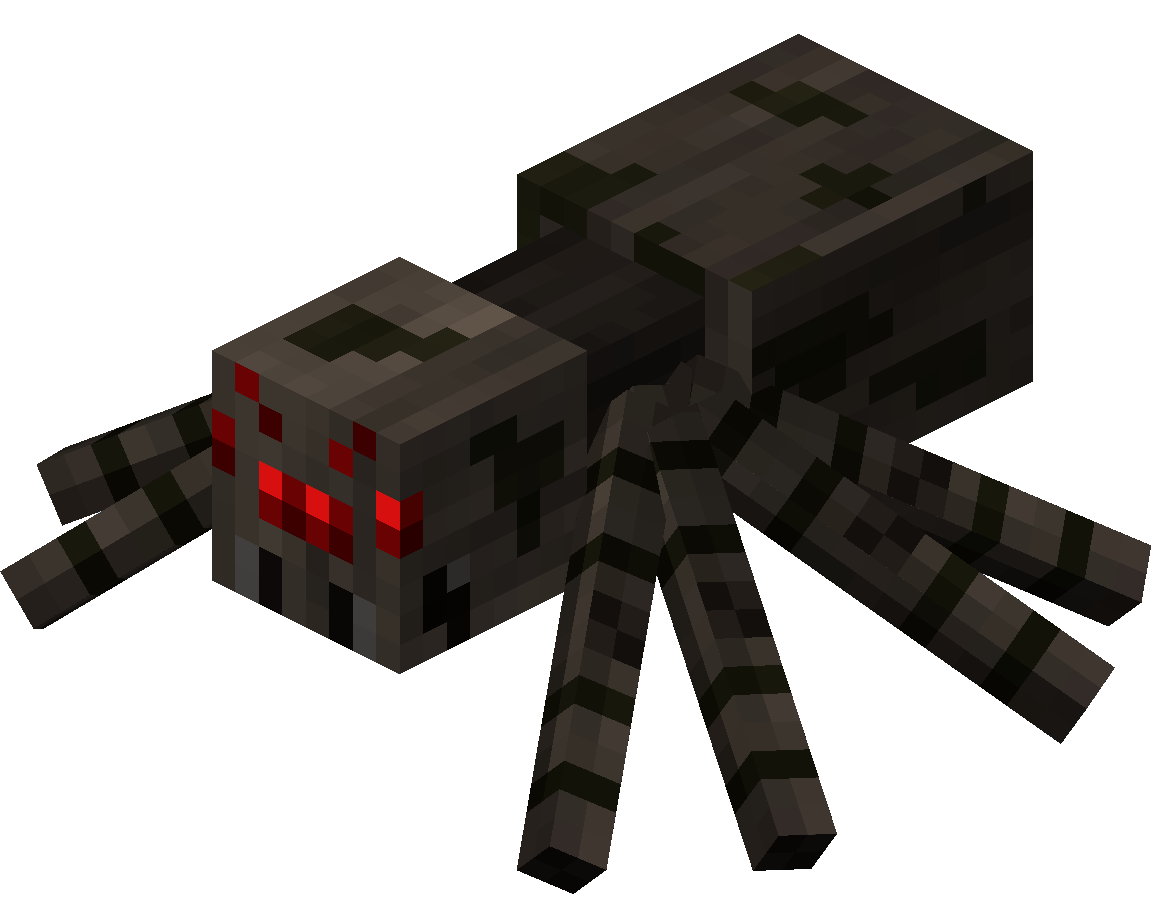 Spider