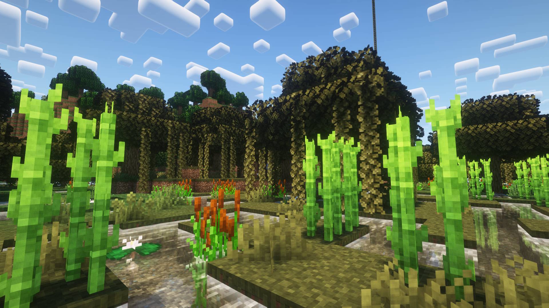 Thumbnail Swamps are now full of dense vegetation