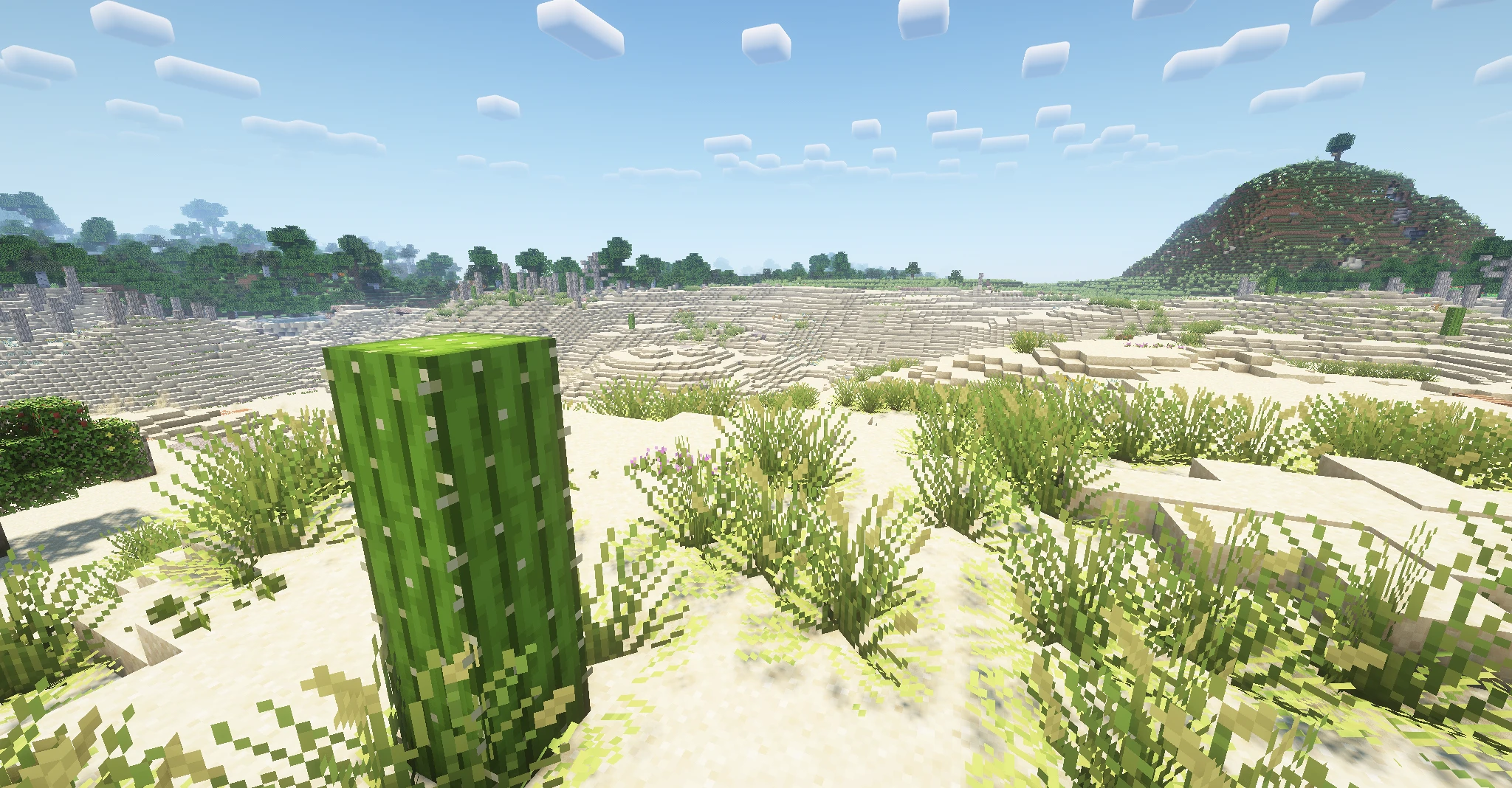 Shader : Rethinking voxels