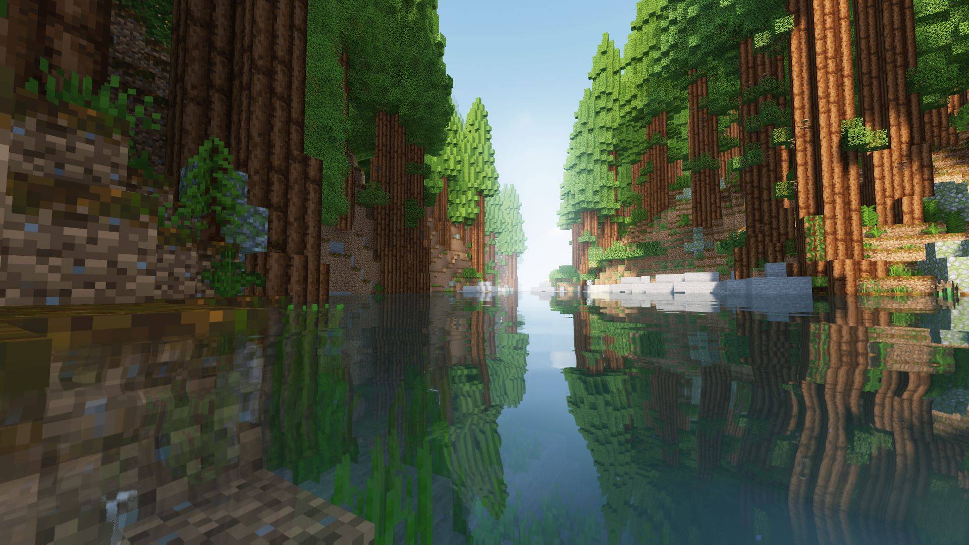 Redwoods biome.