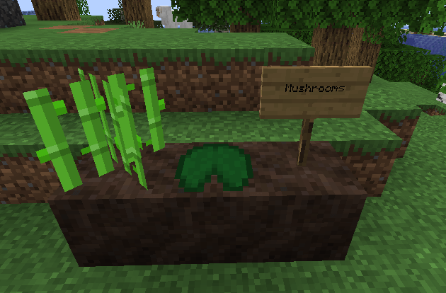Wet peat ore; You can plant some plants on it
