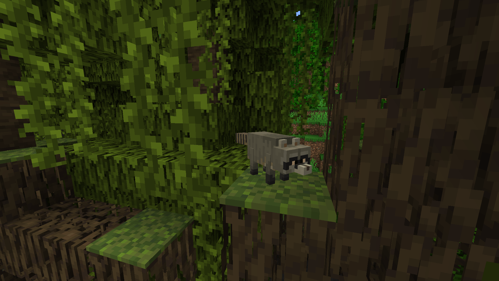 Crab-eating raccoon (Note: This update is not released, not yet at least)