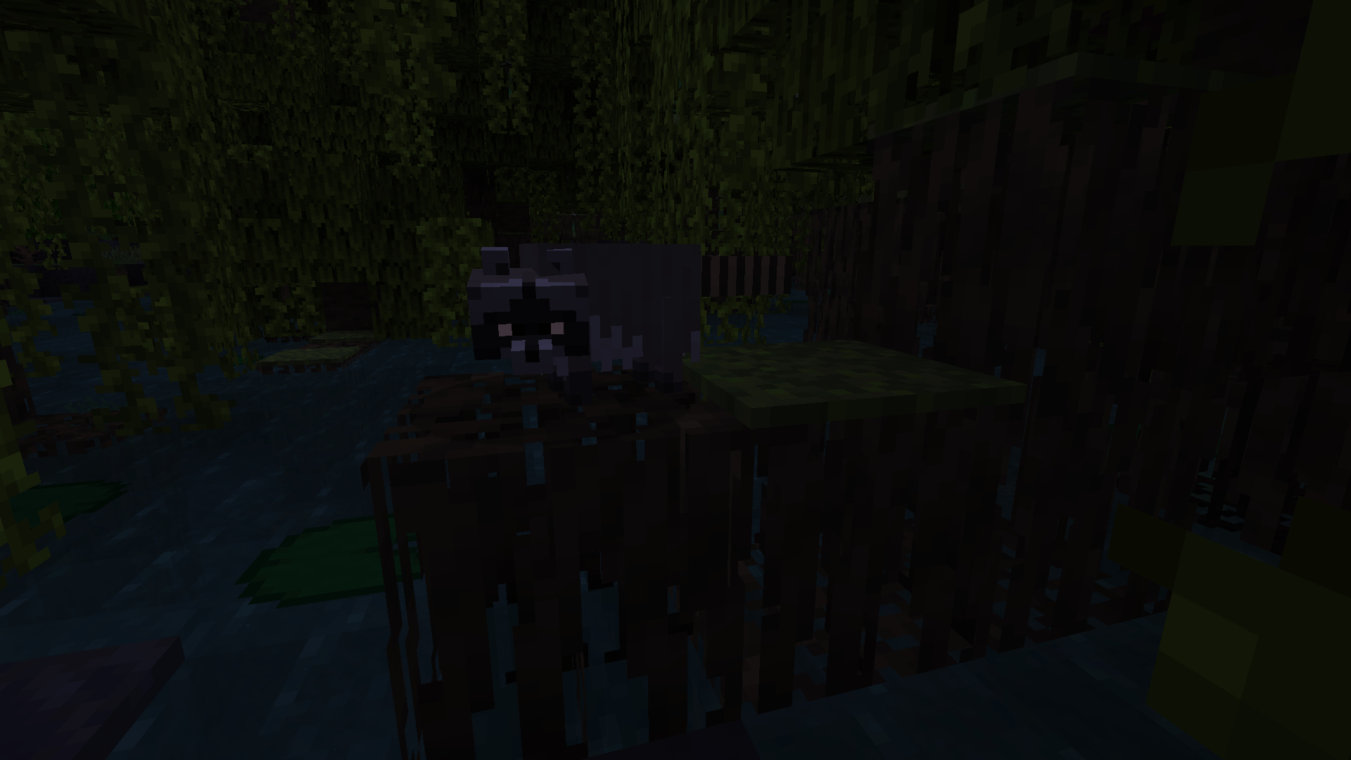 Northern raccoon (Note: This update is not released, not yet at least)