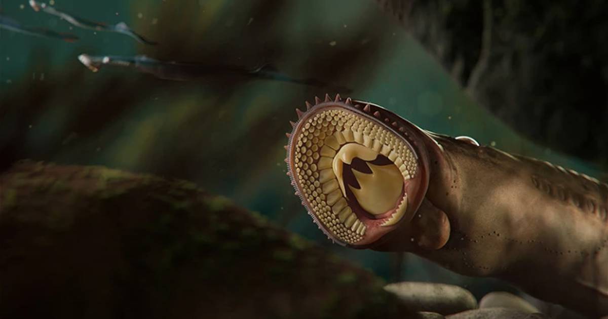 screenshot thumbnail