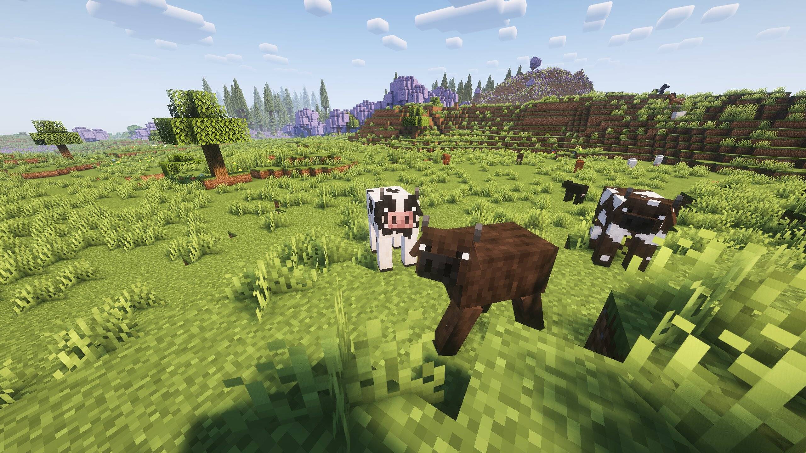 Mobs variety