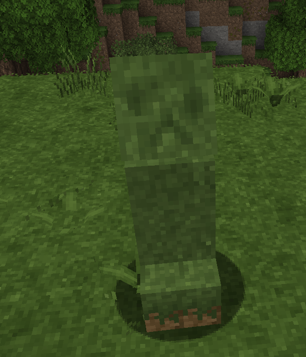 Common Creeper.png