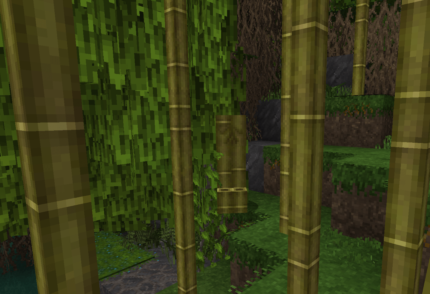 Bamboo Creeper.png