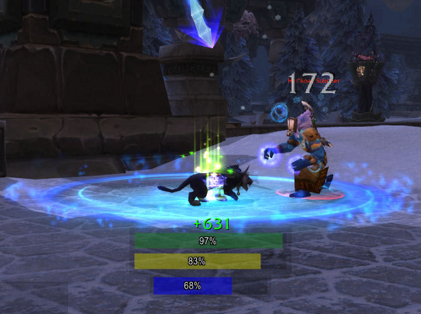 <p>druid mana bar in cat and bear form</p>