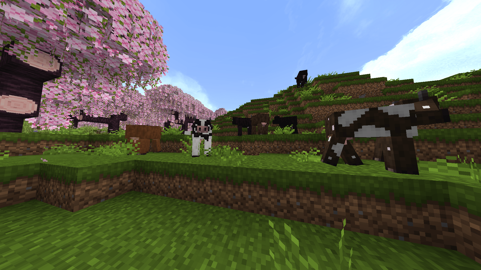 Thumbnail 2024-10-01_23.35.20.png
