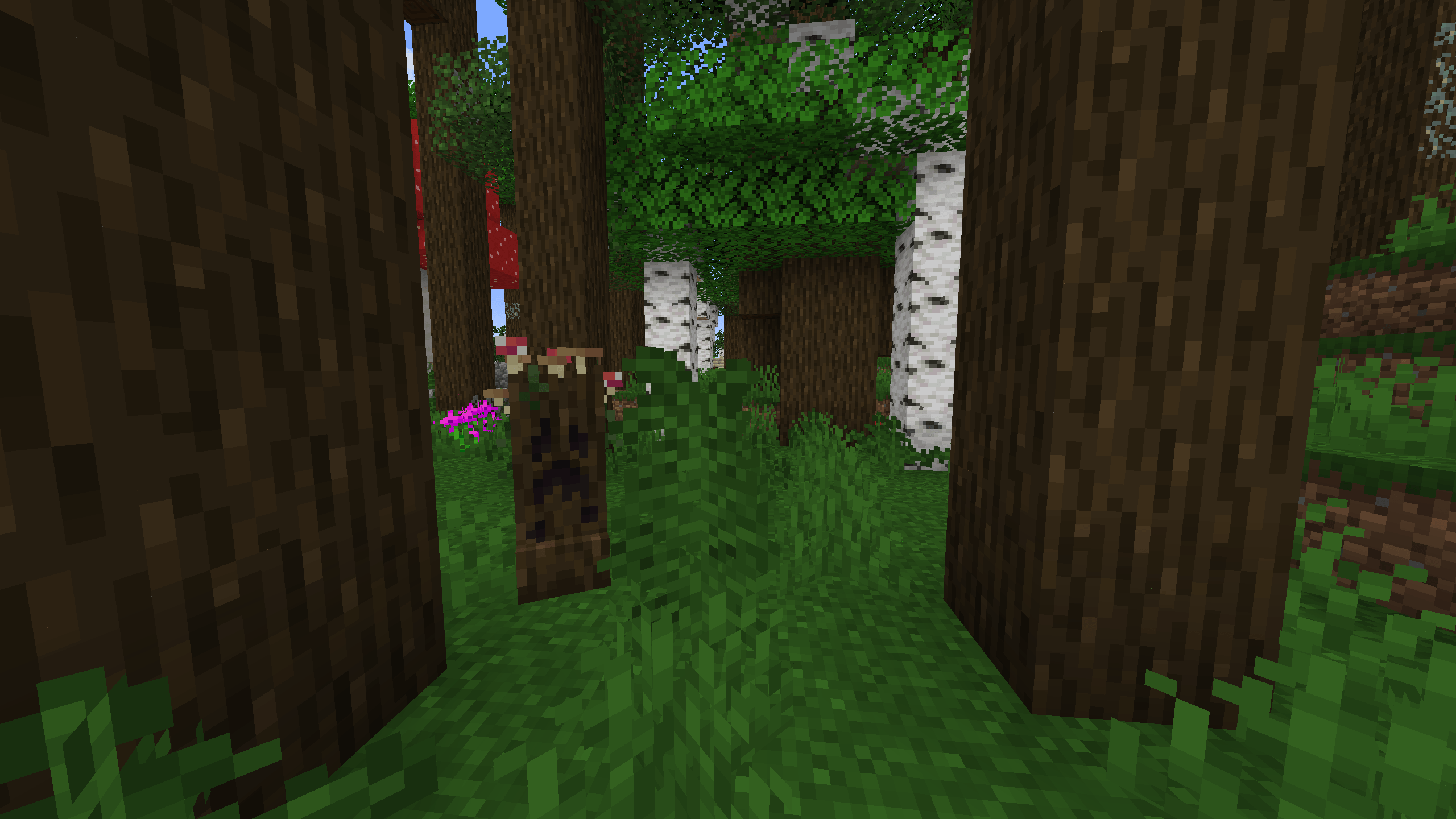 Thumbnail From Creeper Overhaul mod.