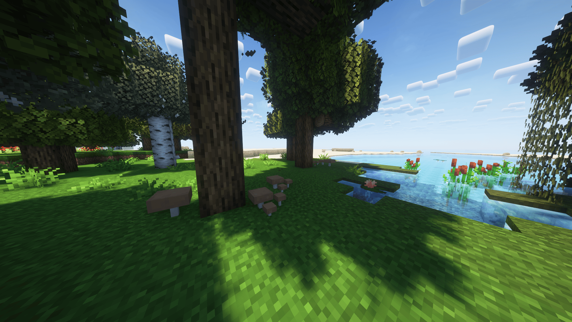 Thumbnail 2024-10-01_23.03.49.png