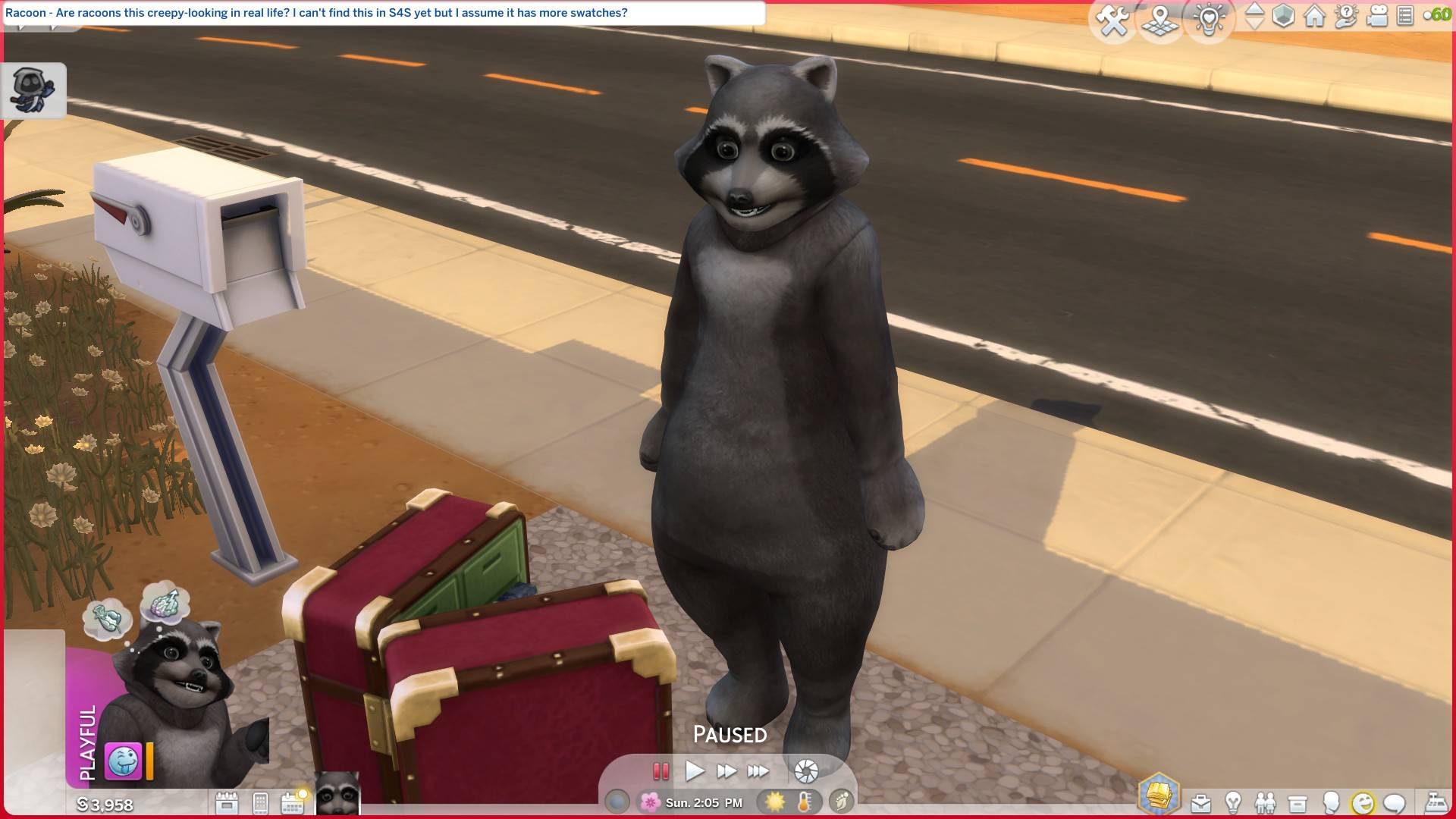 EP16CostumeBoxBad_Racoon.jpg