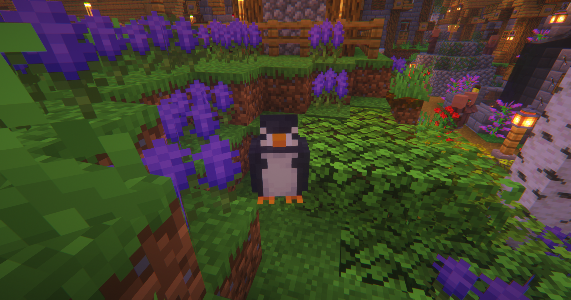 Thumbnail A penguin!