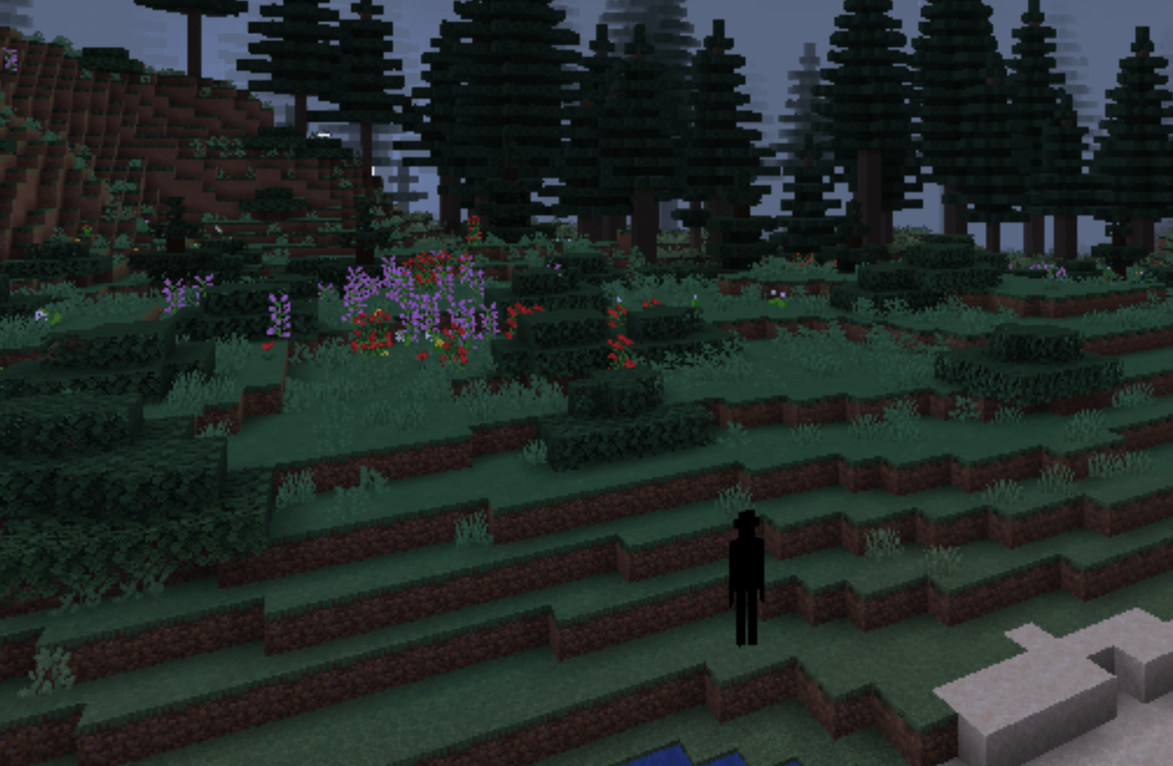 Screenshot thumbnail