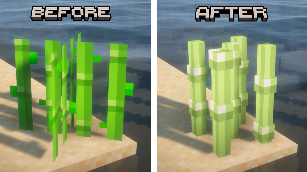 Sugar Cane