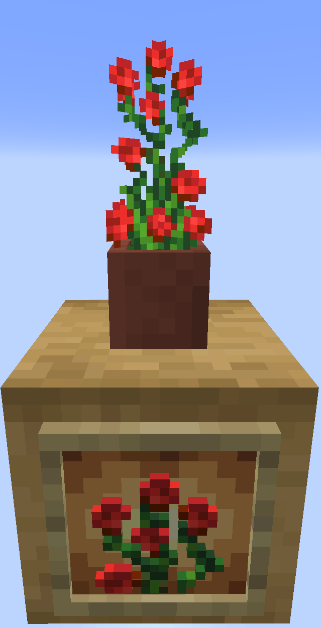 Potted Rose Bush