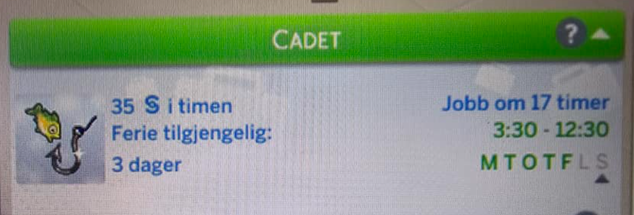 Inngame picture