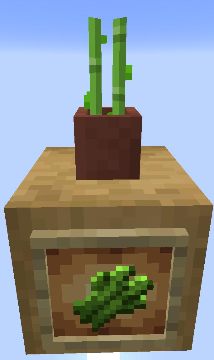 Potted Sugar Cane