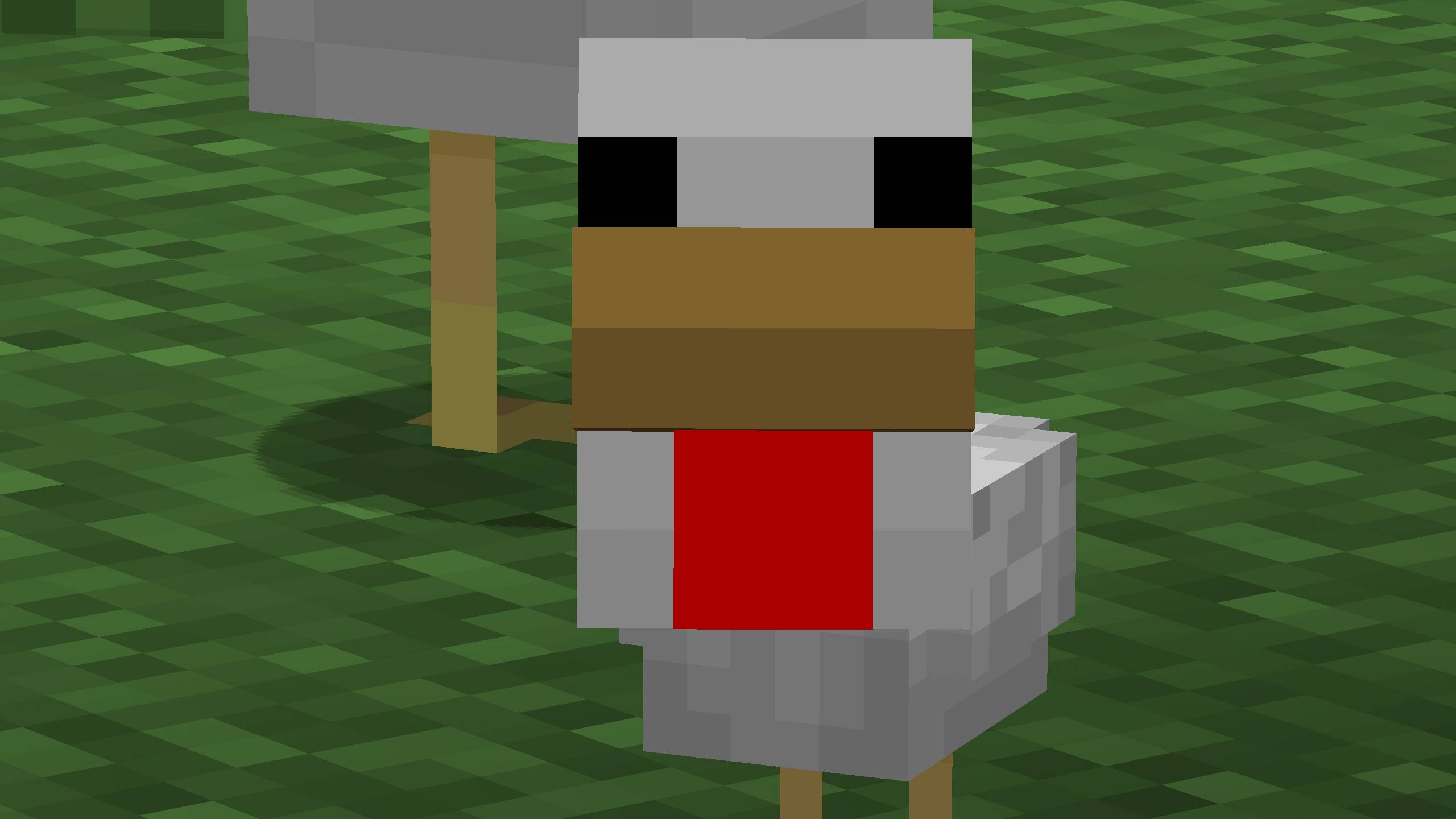 WI Zoom 1.5 update image