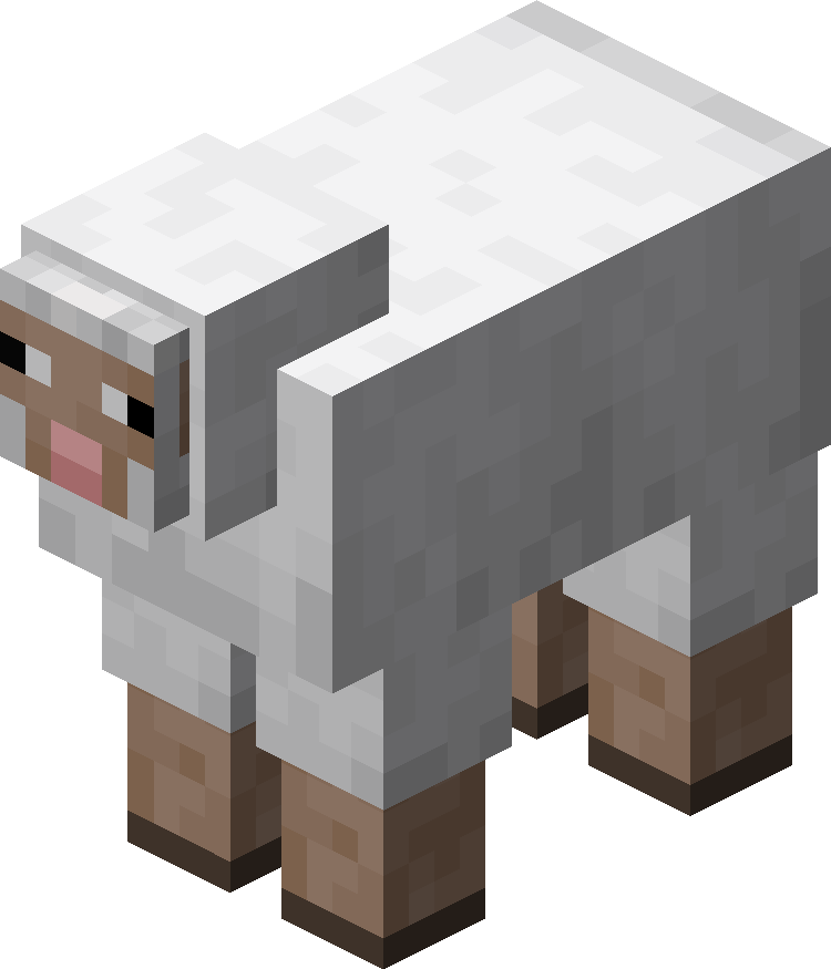 sheep